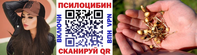 наркотики  Фёдоровский  Галлюциногенные грибы мухоморы 